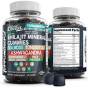 Terramineral Shilajit Gummi mit Irish Sea Moss Tongkat Ali Ashwagandha Lion's Mane MACA Panax Ginseng Rhodiola & Cordyceps von Clean Nutra (1)