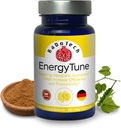 EnergyTune Energy Supplements, steigert Nährstoffabsorption und fördert Gesamtgesundheit und Immununterstützung - Non-GMO, Glutenfrei, Vegetarisch - Veg Capsules (60 Count (Pack of 1))