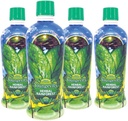 Youngevity Majestic Earth Herbal Rainforest, 32 Fl Oz - Ultimate Multi-Herbal, Multivitamin und Mineral Complex für Männer, Frauen, Kinder - Immun Support Supplement - Glutenfrei