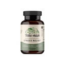 TERRA ORIGIN Healthy Stress Supplement | 60 Kapseln | KSM-66 Bio Ashwagandha, L-Theanin, Rhodiola Extrakt, Astragalus Root und Heilige Basilikum | Stress und Stimmungsunterstützung