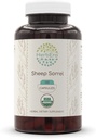 HerbEra Sheep Sorrel USDA Organic 120 Kapseln | Natürliche Kräuterergänzung | Certified Organic Vegetarian Capsules and Organic Sheep Sorrel (Rumex Acetosella) Getrocknete Kräuter (120 Kapseln)