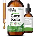 Wild & Organic Gotu Kola Kräutertee - Brain Support - Gotu Kola Liquid Extract Drops - Vegan, Zucker & Alkoholfreie Centella Asiatica Supplement - 2 fl oz