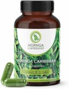 Moringa Premium 100% reine Pulverkapseln - Vegan, GMO Free, Grüne Superfood, Enthält Calcium, Magnesium, Vitamin C, Vitamin B3, Vitamin A, Antioxidantien - Energie, Stoffwechsel, Immununterstützung -120 ct