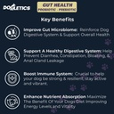 Gut Health Probiotic & Prebiotic - 90ct Support Stomach Microbiome, Verhindern Sie Verdauungsprobleme, Reduzieren Sie Anal-Gland-Probleme, Verbesserung der Immunfunktion und Gesamtenergie