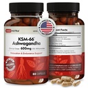 DailyNutra KSM-66 Ashwagandha 600mg Bio-Root-Extrakt - Hohe Potenz-Ergänzung mit 5% Withanolides | Relieves Reifen, unterstützt Entspannung, Fokus, Energie, & Muskelwachstum (60 Kapseln)