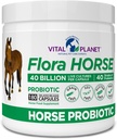 Vital Planet - Flora Horse Probiotic, High Potency Equine Probiotics mit Präbiotika, 40 Billion Live CFU von Multiple Strains, Verdauungs- und Immununterstützung, 180 Delayed Release Capsules (180 Tage)