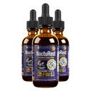 Advanced Sleep Support Supplement - Flüssige Lieferung für bessere Absorption - Melatonin, Magnesium, Theanin, Valerian, Passionflower, Kamille und mehr!