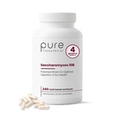Saccharomyces Boulardii Probiotics 10 Billion CFU - Made in USA | No Fillers, patentiert Straße: Lynside CNCM I-3799 Probiotika für Männer und Frauen | Pure TheraPro Rx - 240 Kapseln