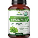 Zazze USDA Organic Stinging Nettle 20:1 Extrakt, 9000 mg Stärke, 120 Vegan Kapseln, 4 Monate Versorgung, Konzentriert, Standardisiert 20X Extrakt, Certified Organic, 100% Vegetarisch, All-Natural, Non-GMO