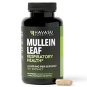 Mullein Leaf Capsules for Respiratory Health - 5000mg Extract 10:1 für Lung Support and Immune Function - 90 Count - Vegan, Non-GMO Capsules - Kräuter-Ergänzung für Daily Wellness - 3 Monate Versorgung