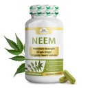 Bio Veda Neem Kapseln, 1000mg - Organische Kräuter-Ergänzung Hergestellt mit Ayurveda Neem Blatt Pulver - Unterstützt Radiant Haut, Immune, Detox, Gesunde Entzündungsreaktion - 120 Veggie Kapseln