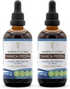 Segreti della Tribe Chanca Piedra Alcohol-Free Tincture Extract, Chanca Piedra (Phyllanthus niruri) Dried Herb Tincture Supplement (2x4 FL OZ)