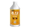 NUTRILINE B-12 für Geflügel - Multivitamin Booster für Hahn, Henns, Huhn, Vitamin Recovery Liquid 16 Onzas
