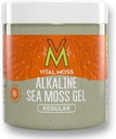VitalMos St Lucia Sea Moss Gel Regular, Wildcrafted Alkaline Sea Moss mit Mineralien Vitamine und Antioxidantien, Schilddrüse und Immununterstützungsergänzung, Roh, Unflavored und Vegan freundlich, 16oz