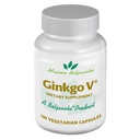 Beljanski® Produkte - Ginkgo V® Nahrungsergänzungsmittel - Ginkgo Biloba Extract - 100 Kapseln