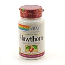 SOLARAY Hawthorn Extrakt 100mg | 60 CT