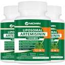 Liposomale Artemisinin Ergänzung 1000mg, Sweet Wormwood Extrakt mit 200mg Quercetin Phytosome, maximale Absorption für Antioxidans 180 Kapseln