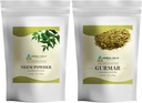 HERBAL HILLS Neem Blatt Pulver und Gurmar Pulver Gymnema Sylvestre Pack von 2 Combo