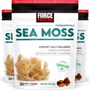 FORCE FACTOR Sea Moss Soft Chews, Unterstützung Immunität, Verdauung und Herz-Gesundheit, Irish Sea Moss Superfood & Antioxidants Supplement, Non-GMO, Glutenfreie, gesalzene Karamell Flavor, 90 Soft Chews, 3-Pack