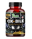 Humming Kräuter Ox Bile mit Verdauungsenzymen & Pre/Probiotics 90 Veg Caps Cholic Acid, Inulin, Betaine HCl, Pfefferminz, Bromelain Gesunde Verdauung & Nährstoffaufnahme - Bile Salts Supplement