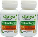 Hadjod Forte Capsules 500 mg. 60 Veg. Capsule | Hadjod (Cissus Quadrangularis) Extrakt Kapseln für Männer und Frauen | Ayurvedische Kräuterergänzung/Remedies | 10:1 Forte (2 Flaschen von 60 Kapseln)