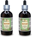 Maitake (Grifola Frondosa) Glycerite, Organic Dried Mushroom Alcohol-Free Liquid Extract (Markenname: HerbalTerra, Proudly Made in USA) 2x4 fl.oz (2x120 ml)