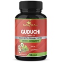 Bio Giloy Guduchi Extrakt Kapseln & Ashwagandha, Licorice, Heilige Basilikum | Immune Booster