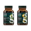 Gaia Kräuter Ashwagandha Root - Hergestellt mit Bio Ashwagandha Root - 120 Vegan Liquid Phyto-Capsules & Schilddrüse Unterstützung - Unterstützt gesunde Stoffwechsel Balance und insgesamt Wohlbefinden - 120 Vegan Liquid Phyto
