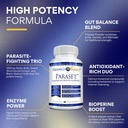 Paraset vérifié de recherche - 120 capsules - Enhancer naturel de la santé de Gut - Bulbe d'ail, Papaine, Wormwood doux, Noix noire, BioPerine - Vegan