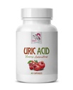 Alerna Kidney Health - URIC Acid Natural ANTIOXIDANT - Uric Acid Cleanse Support Tart Cherry Capsules - 1 Bottiglia 60 Capsule vegetali