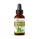 Guayusa Blatt Extrakt Gehirn Fokus - Natürliche Koffein Stamina Getränke Energie Supplement, Kaffee Alternative, Stress Relief - Bio Kosher 1oz Flasche - Kräuter-Güte