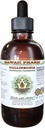 Collinsonia Extrait liquide sans alcool, Collinsonia (Collinsonia Canadensis) Racine séchée Glycérite Hawaii Pharm Supplément naturel à base de plantes 4 oz