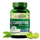 Himalayan Organics L-Carnitin L-Tartrate mit Grüner Tee-Extrakt 2000 Mg | Gesundes Gewicht-Management | Unterstützt Muskel-Recovery, Boost Energy, Endurance und Fat Burn -120 vegetarische Tabletten