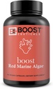 BoostCeuticals Red Marine Algae Gigartina 90 Vegan Capsules No Stearates, No Silica Immune Support, Non-GMO, Mineral & Calcium Source – 3 Monate Versorgung