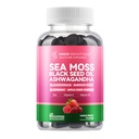 Sea Moss 4000mg Gummi mit Ashwagandha, Elderberry, Apfelessig, Bladderwrack, Burdock Root – Immununterstützung – Mixed Berry Flavor – 60 Count