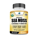 Integratori standard americani Moss del mare organico, Bladderwrack & Burdock Root Capsule - 1200mg Seamoss, 1200mg Bladderwrack, 225mg Burdock Root Per Serving - 120 capsule, 40 Servings