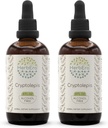 HerbEra Cryptolepis B120(2pcs) Alkoholfreie Kräuterextrakt-Tinktur, Super-Concentrated Wildcrafted Cryptolepis (Cryptolepis Sanguinolenta) Getrocknete Wurzel (2x4 fl oz)