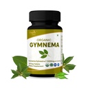 Gymnema 120 Tabletten – USDA Organic Gymnema Sylvestre Supplement