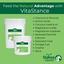 Stance Equitec VitaStance Vitamin, Mineralische und Aminosäureergänzung für Pferde, 28,5 lb