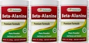 Beste Natur Beta Alanine reines Pulver 1 Pfund (1 LB (Pack von 3))