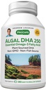 ANDREW LESSMAN Algal DHA 250mg 360 Softgels - Oli Omega-3 a base di piante, Alghe marine naturali, Alta DHA, Non OGM, Alta potenza, Nessuna insorgenza di Stomach, Nessun retrogusto Pesceso. Piccolo facile da ingoiare