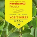 YOGIS HERBS Keezhanelli Powder (Phyllanthus Niruri) | Chanca Piedra Stone Breaker – Liver, Kidney & Gallbladder Unterstützung– Frische und reine Kräuterergänzung (8 oz)