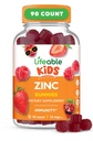 Lebensfähige Zink-Gummien für Kinder |15mg | Große Verkostung Kinder Zink-Ergänzungen | GMO Kostenlose vegetarische Zink-Vitamine | für gesunde Haut und Immununterstützung für Kinder und Kinder | 90 Gummie