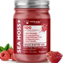 WELLNESS LABSRX Irish Sea Moss Gel Raw - Wildcrafted Superfood Seamoss Gel - Raspberry Flavor, Vitamin und Mineral-Rich aus Pristine Caribbean Waters, Immun- und Verdauungshilfe - 10 Unzen.