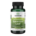 Swanson Spearmint Leaf (Mentha Spicata) - Full Spectrum Kräuterergänzung Unterstützung Verdauungs-Gesundheit & Mild Stomach Probleme - Natürliche Formel Unterstützung Gesundheit & Wellness - (60 Kapseln, 400mg Jeder)