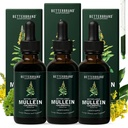 Betterbrand Mullein Lung Detox Drops (3-Pack), 60ml Mullein Leaf Teincture with Chlorophyll for Respiral Health Support - Sans alcool - Approvisionnement de 3 mois