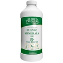 Buried Treasure Liquid Advantage FULVIC MINERALS Pure 70+ Trace Minerals 33 oz Nahrungsergänzung