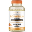 Boswellia Serrata Extract Joint Support Supplement by Powered by Plants – 65% High Potency Boswellic Acids with BioPerine – Supports Immunity, Mobility & Flexibility – 120 Vegan Capsules