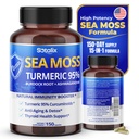 Sotalix Sea Moss Capsule mit Ashwagandha, Burdock Root, Bladderwrack, Turmeric - Leistungsstarke natürliche Immunität Booster - USA Made (150 Count (Pack von 1))