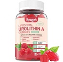 1 Packung 3000mg Liposomal Urolithin A 8-in-1 Gummisupplment, Enthält CoQ10, Resveratrol, L-Carnitin, Quercetin, Vitamin C, Astaxanthin, Mito & Cell Support, Anti-Aging, Metabolism & Energy Boost